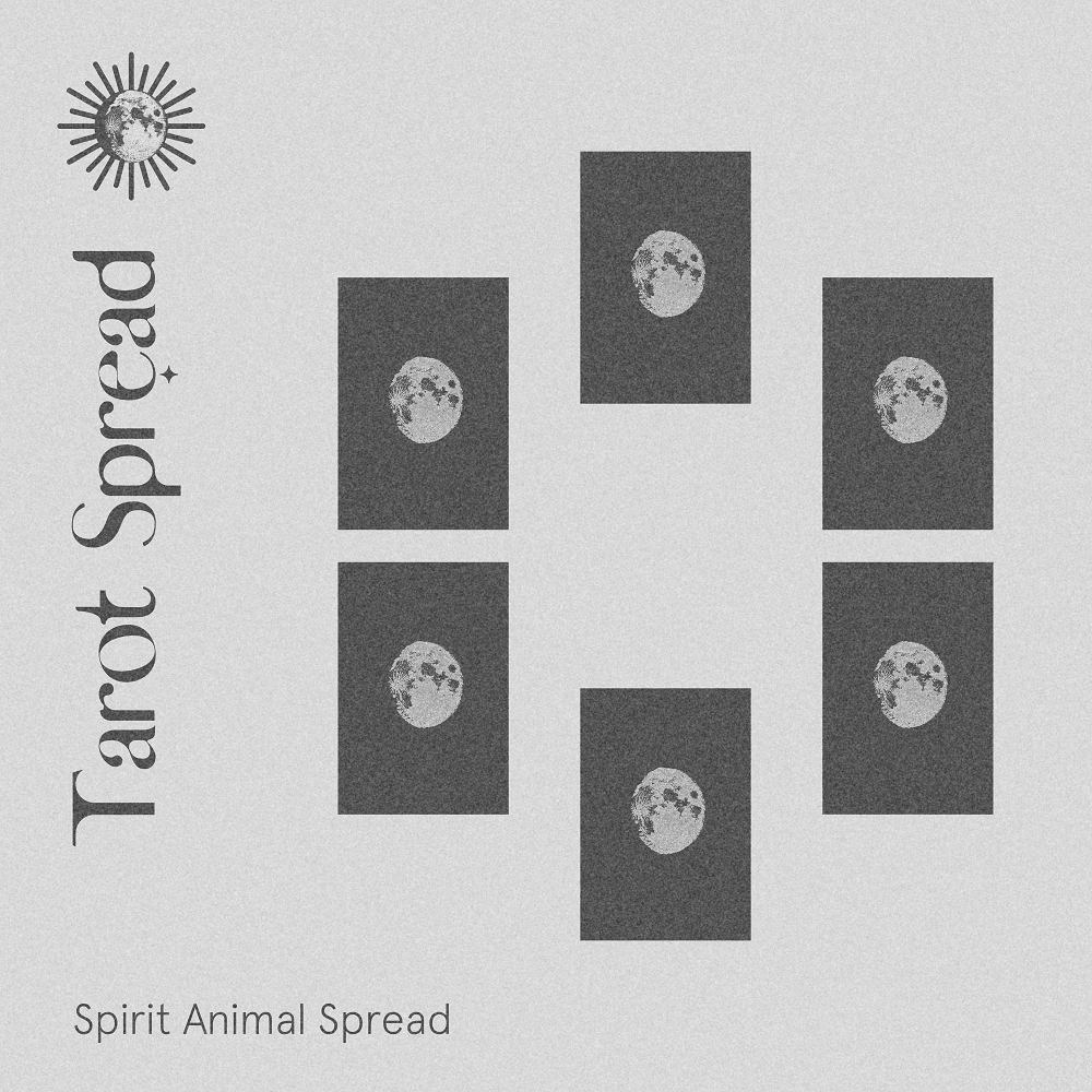 Spirit Animal Reading